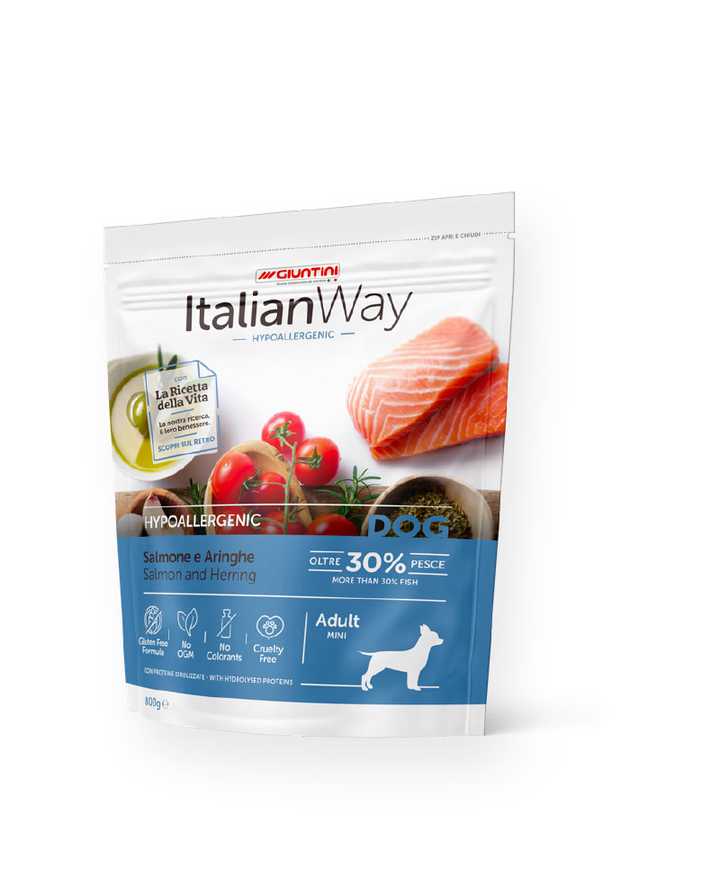 dog adult mini hypo salmone
